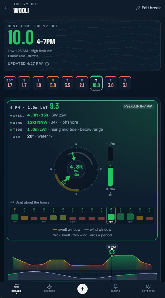 Day detail — best time today, the 9-day scores and what's holding it back